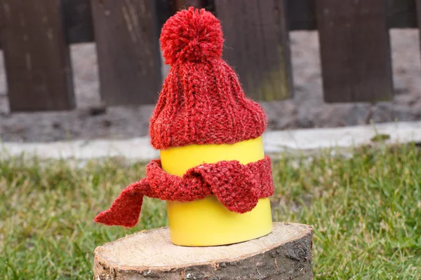 Чашка напою з вовняною шапочкою, загорнутою шарфом на дерев'яному пнісі — стокове фото