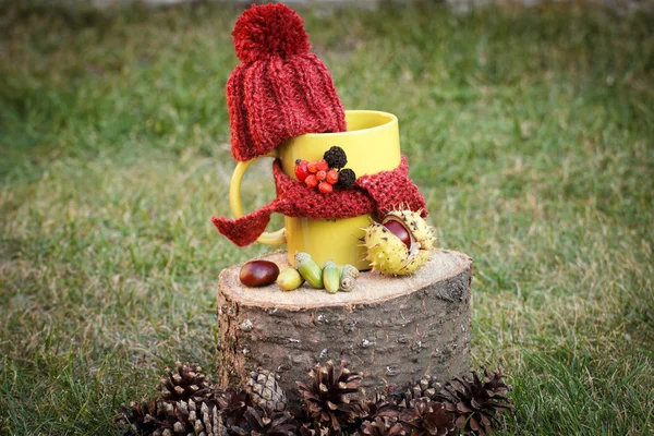 Cup of beverage with woolen cap wrapped scarf on wooden stump — Stock Photo, Image
