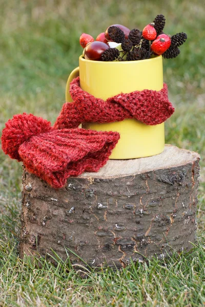 Чашка осіннього прикраси обгорнута шарфом і вовняною шапочкою на дерев'яному пні — стокове фото