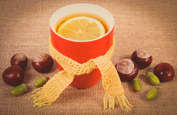Foto vintage, taza de té con limón envuelto bufanda de lana y decoración de otoño — Foto de Stock