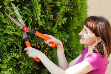 Kadın çalılar, mevsimlik kesilmiş çalılar süs için Bahçe aracı kullanır