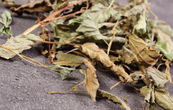 Heap of dried lemon balm on concrete surface — Stock Photo, Image