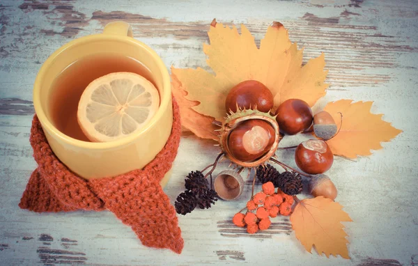 Vintage Fotoğraf, fincan çay limon ile yün atkı sarılı. — Stok fotoğraf