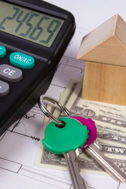 Ev ahşap bloklar ve para birimlerinin dolar çizim, ev kavramı bina inşaat hesap makinesiyle