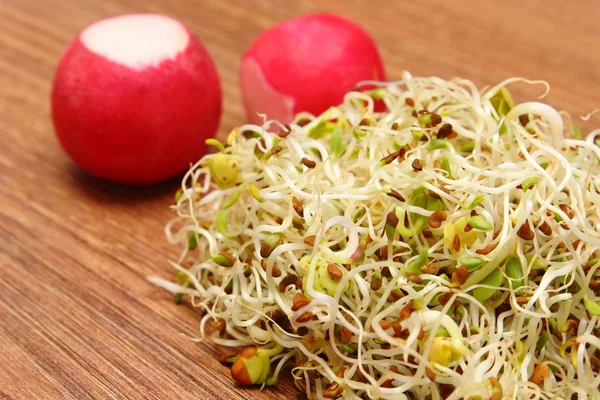 Brotes de alfalfa y rábano sobre mesa de madera — Foto de Stock