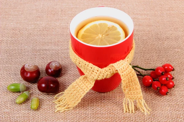 Taza de té con pañuelo de lana envuelto en limón y decoración otoñal — Foto de Stock