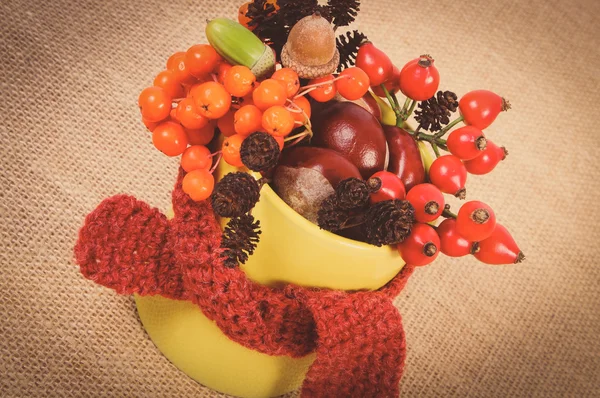 Vintage photo, Autumn decoration with cup wrapped scarf and woolen cap on burlap — Stock Photo, Image