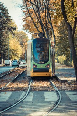 Poznan, Polonya - 19 Ekim 2025: Poznan 'daki Solacki Parkı yakınlarındaki Tram Moderus Beta sonbahar ağaçlarının arasındaki caddede. Büyük şehirde verimli ve modern toplu taşıma