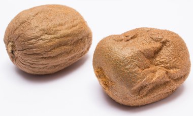 Beyaz arka plan üzerinde şımarık kivi