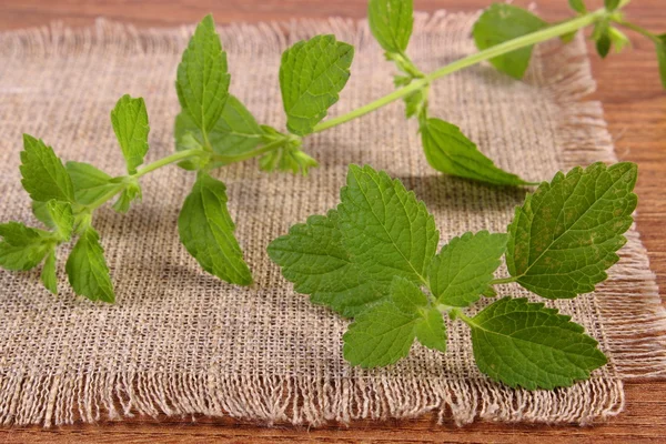 Ahşap masa, herbalism üzerinde taze sağlıklı Melisa — Stok fotoğraf