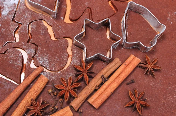 Spice en accessoires voor het bakken op deeg voor Christmas cookies en peperkoek — Stockfoto