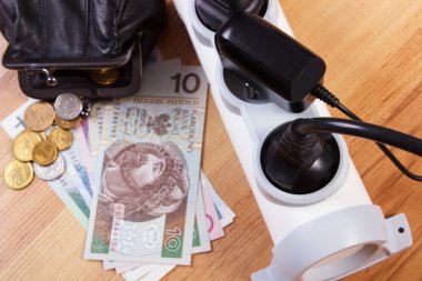 Electrical power strip with connected plugs and polish currency money, energy costs
