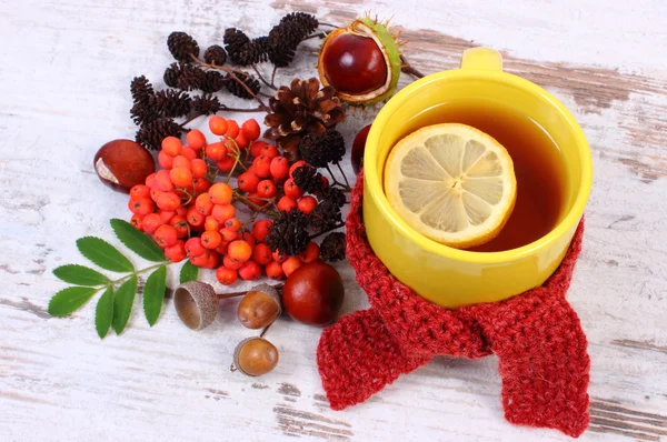 Taza de té con pañuelo de lana envuelto en limón, bebida caliente para la gripe, decoración de otoño — Foto de Stock