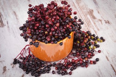 Eski ahşap zemin, sağlıklı gıda üzerine taze mürver demet