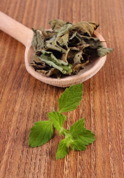 Fresh and dried lemon balm with spoon on wooden table, herbalism — Stockfoto