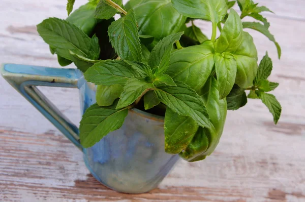 Bunch of fresh mint and basil in cup on old wooden white table — Stock Photo, Image