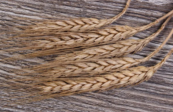 Ears of rye grain on wooden background — Stock Photo, Image