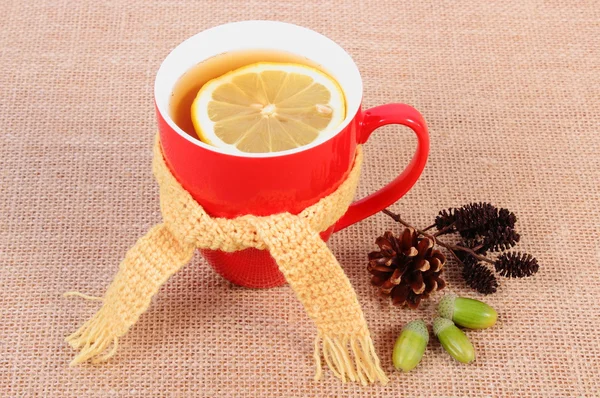 Xícara de chá com limão envolto lenço de lã e decoração de outono — Fotografia de Stock