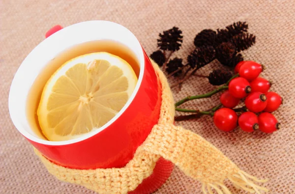 Cup of tea with lemon wrapped woolen scarf and autumn decoration — Stock Photo, Image