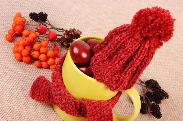 Décoration d'automne avec foulard enveloppé de tasse et bonnet en laine sur toile de jute — Photo