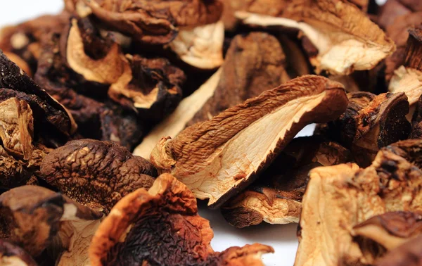 Heap of dried mushrooms — Stock Photo, Image