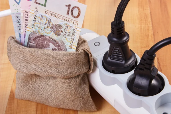 Electrical extension with connected plug and polish currency money, energy costs — Stock Photo, Image