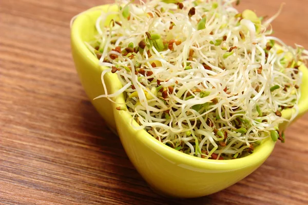 Cuenco con alfalfa y brotes de rábano en mesa de madera — Foto de Stock