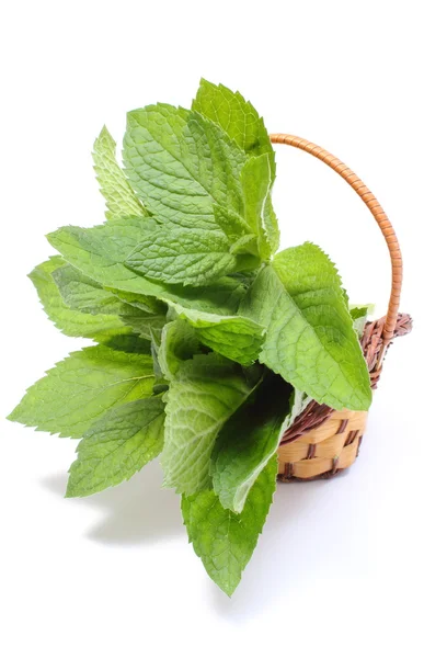 Bunch of fresh green mint in wicker basket on white background — Stock Photo, Image