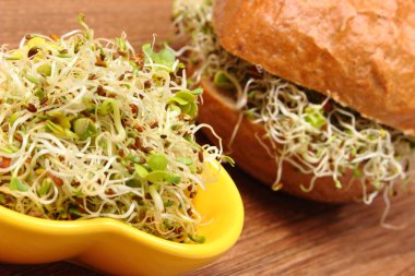 Yonca ve turp lahanası kepekli ekmek ile rulo