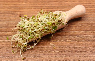 Yonca ve turp lahanası vurgunun, ahşap arka plan