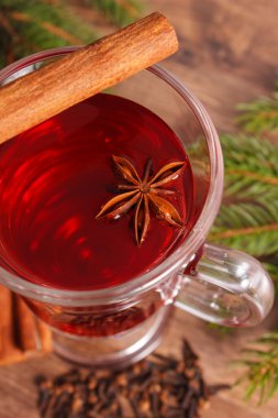 Noel veya baharat ve çam dalları ile kış akşam için mulled şarap 
