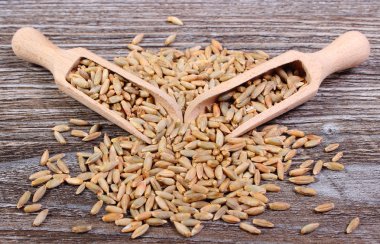 Ahşap zemin üzerine kaşıkla çavdar tahıl