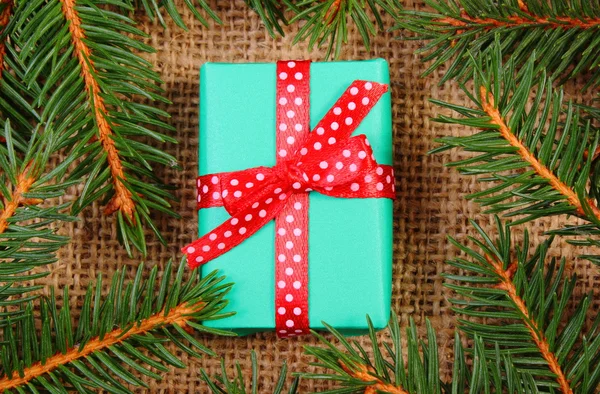 Wrapped gift for Christmas or other celebration and spruce branches — Stockfoto