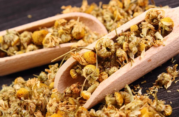 Dried chamomile on wooden table, alternative medicine — Stock Photo, Image