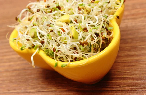 Cuenco con alfalfa y brotes de rábano en mesa de madera — Foto de Stock