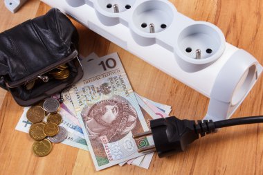 Elektrik uzatma kablosu bağlantısı kesilmiş Tak ve Polonya para birimi para, enerji maliyetleri ile