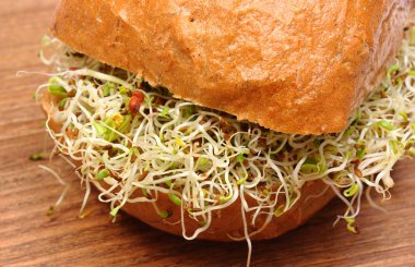 Kepekli ekmek rulo yonca ve turp filizi ile