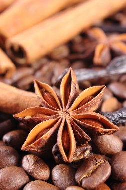 Closeup of anise, cinnamon sticks and coffee grains, ingredients for cooking or baking