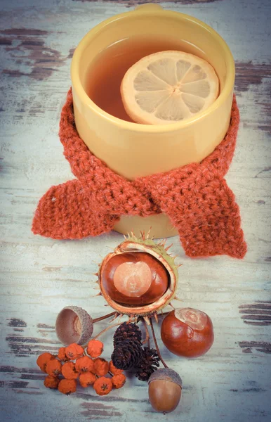Photo vintage, tasse de thé avec écharpe en laine enveloppée de citron — Photo