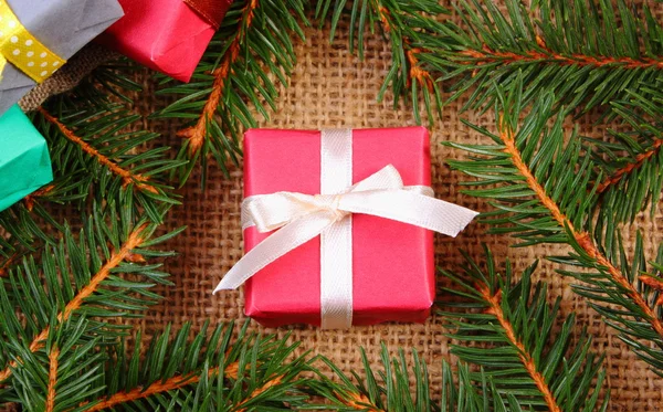 Wrapped gift for Christmas or other celebration and spruce branches — Stok fotoğraf