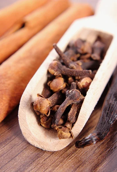 Closeup de cravos, baunilha perfumada e canela na prancha de superfície de madeira — Fotografia de Stock