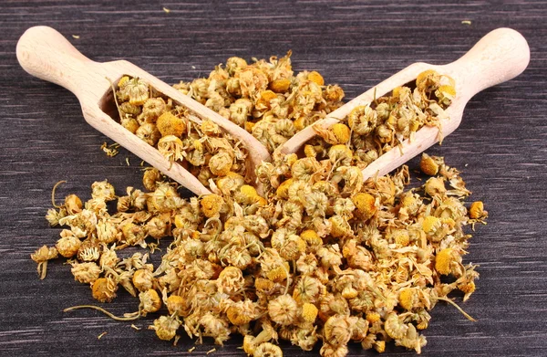 Dried chamomile on wooden table, alternative medicine — Stock Photo, Image