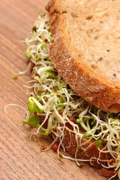 Volkoren brood met luzerne en radijs spruiten — Stockfoto