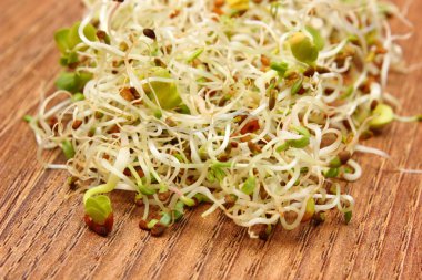 Yonca ve turp lahanası ahşap tablo