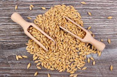 Arpa buğday ahşap zemin üzerine kaşıkla