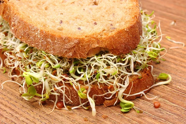 Volkoren brood met luzerne en radijs spruiten — Stockfoto