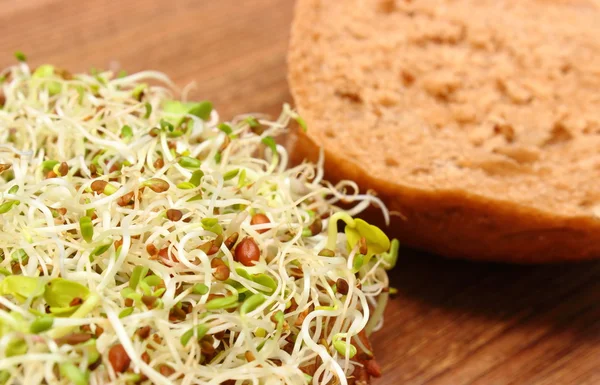 Rollo de pan integral con alfalfa y brotes de rábano — Foto de Stock