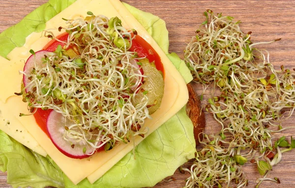Vegetarische sandwich met luzerne en radijs spruiten — Stockfoto