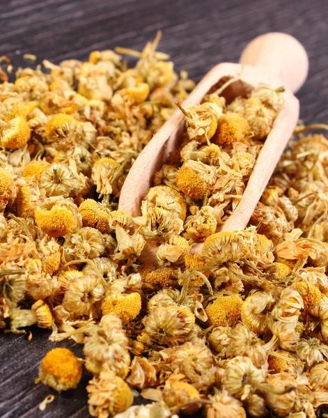 Dried chamomile on wooden table, alternative medicine — Stock Photo, Image