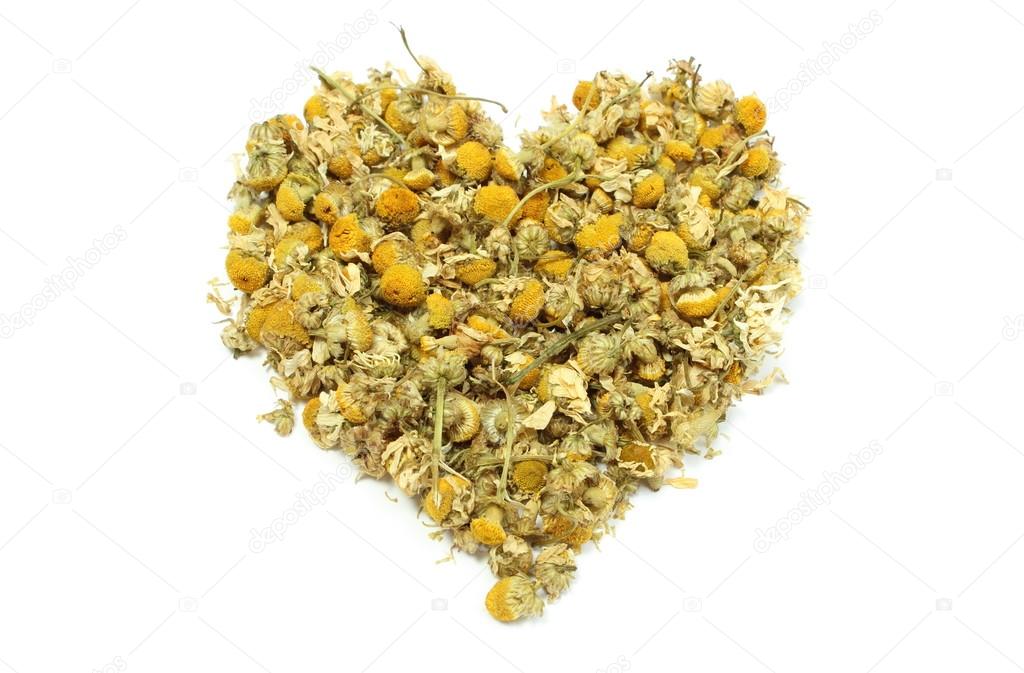 Heart of yellow chamomile on white background